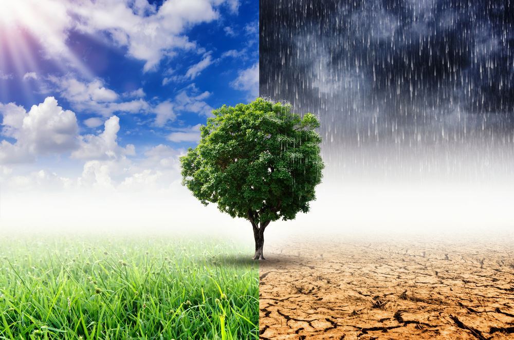 Climate Change